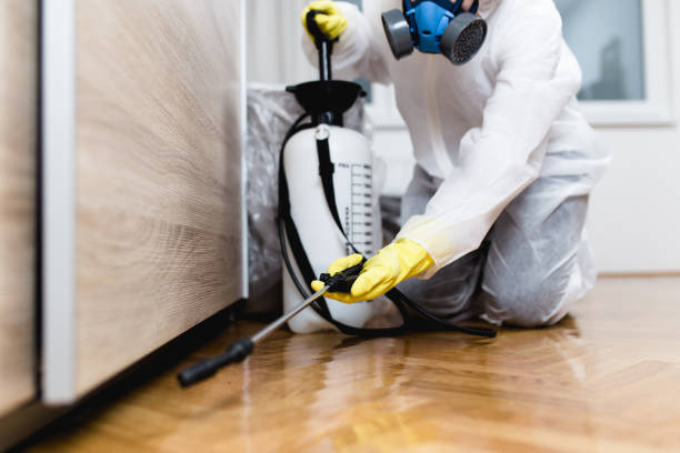 Best Residential Pest Control  in Mount Rainier, MD