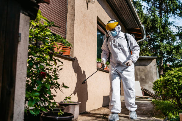 Professional Pest Control in Mount Rainier, MD