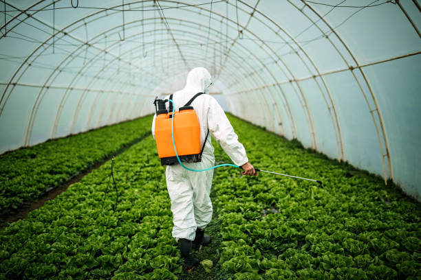 Best Affordable Pest Control Services  in Mount Rainier, MD
